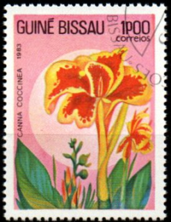 Guinea Bissau u Mi  0724