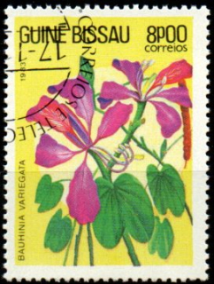 Guinea Bissau u Mi  0728